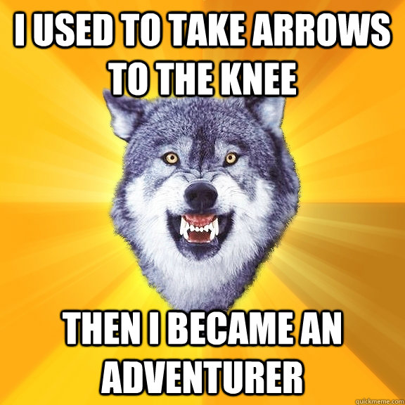 I USED TO TAKE ARROWS TO THE KNEE THEN I BECAME AN ADVENTURER  Courage Wolf