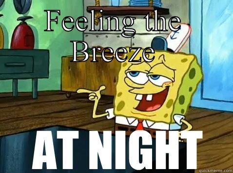 FEELING THE BREEZE  Misc