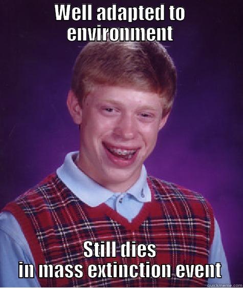 WELL ADAPTED TO ENVIRONMENT STILL DIES IN MASS EXTINCTION EVENT Bad Luck Brian