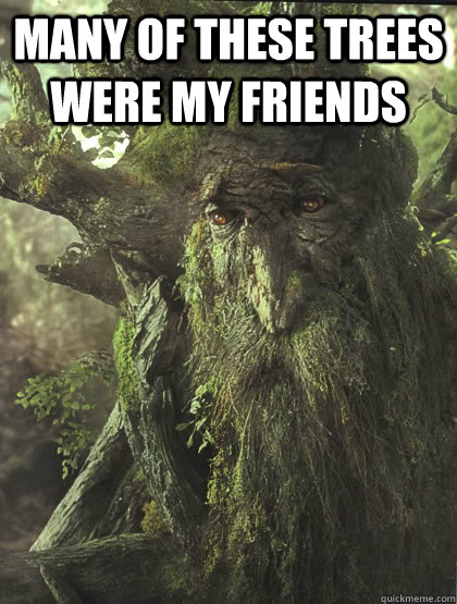 Many of these trees were my friends  - Many of these trees were my friends   treebeard