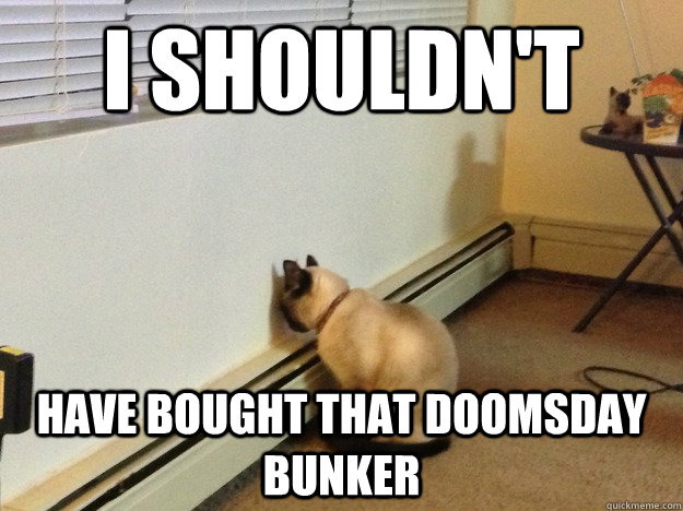 I shouldn't have bought that doomsday bunker  Regretful Cat