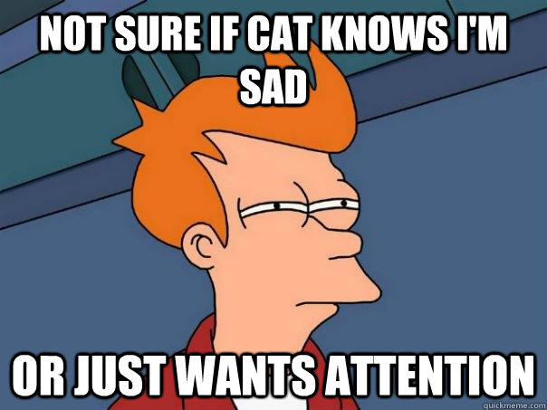 not sure if cat knows I'm sad or just wants attention  Futurama Fry