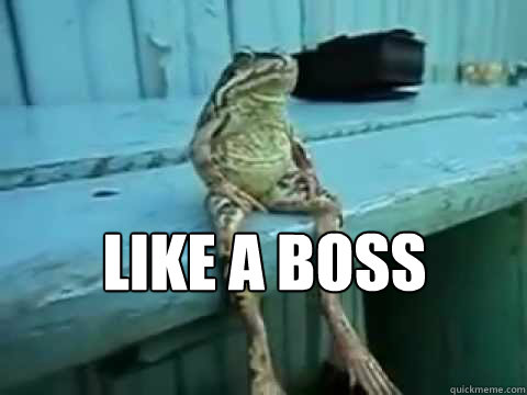 Like a boss  - Like a boss   SITTING FROG