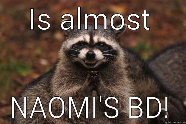 IS ALMOST NAOMI'S BD! Evil Plotting Raccoon