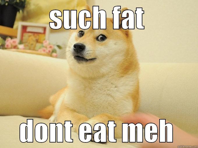 SUCH FAT DONT EAT MEH Misc
