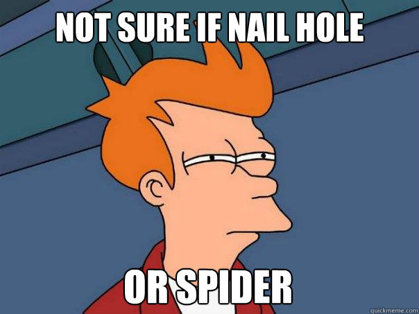not sure if nail hole or spider  FuturamaFry