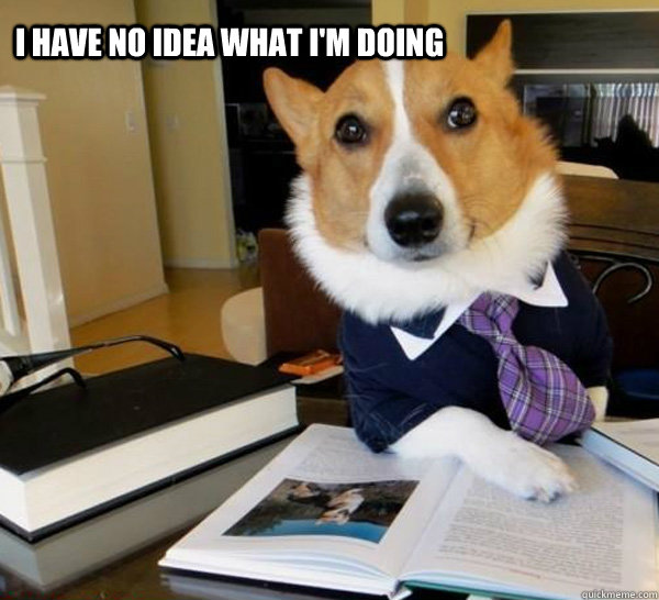 I have no idea What I'm Doing - I have no idea What I'm Doing  Lawyer Dog