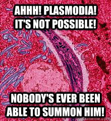 Ahhh! Plasmodia! It's not possible!  Nobody's ever been able to summon him! - Ahhh! Plasmodia! It's not possible!  Nobody's ever been able to summon him!  First thought in my head when my biology teacher said Plasmodia.