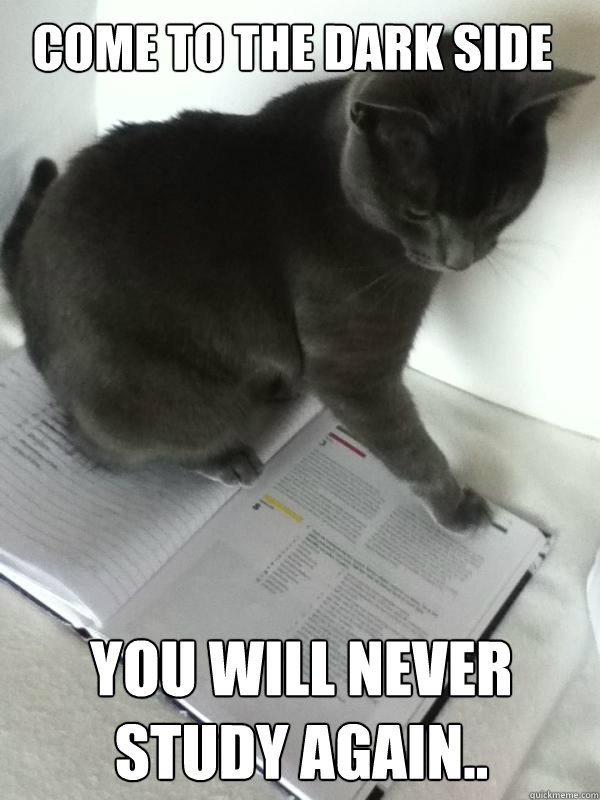 come to the dark side you will never study again..  evil study cat