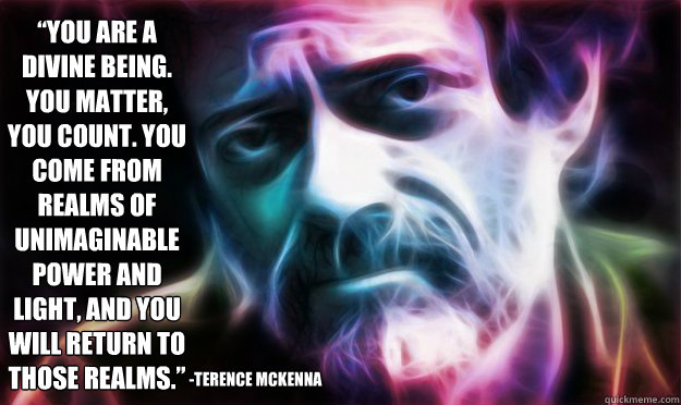“You are a divine being. You matter, you count. You come from realms of unimaginable power and light, and you will return to those realms.” -Terence Mckenna   terence mckenna