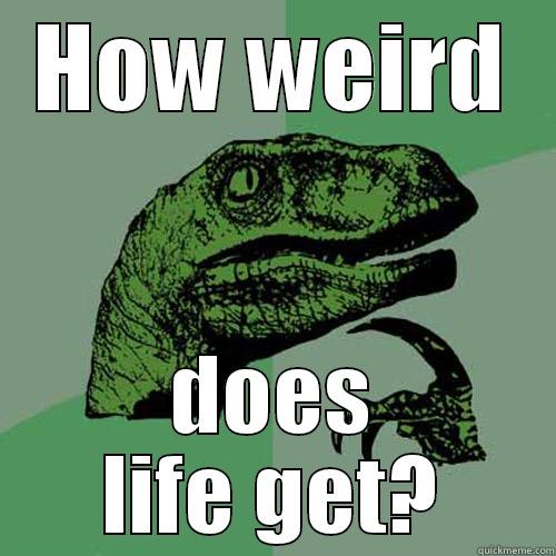 HOW WEIRD DOES LIFE GET? Philosoraptor