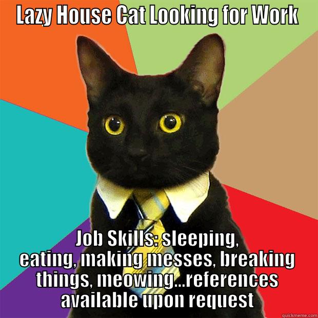 LAZY HOUSE CAT LOOKING FOR WORK JOB SKILLS: SLEEPING, EATING, MAKING MESSES, BREAKING THINGS, MEOWING...REFERENCES AVAILABLE UPON REQUEST Business Cat