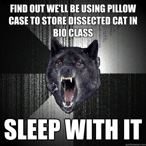 Find out we'll be using pillow case to store dissected cat in Bio Class SLEEp with it  Insanity Wolf