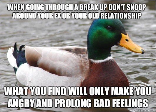 When going through a break up don't snoop around your ex or your old relationship What you find will only make you angry and prolong bad feelings  Actual Advice Mallard