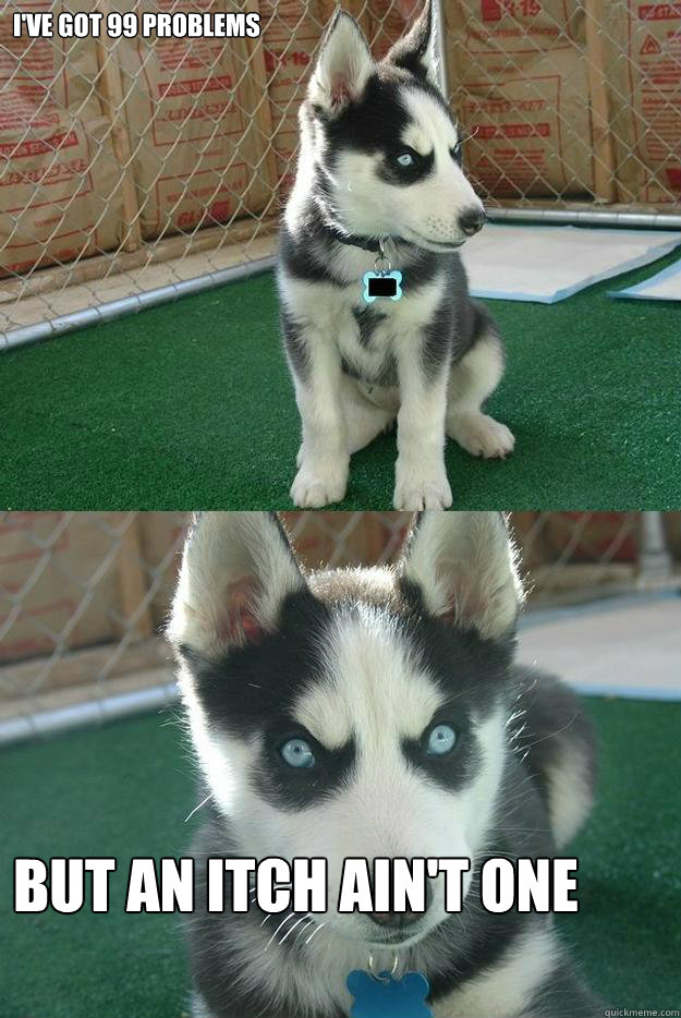 I'VE GOT 99 PROBLEMS BUT AN ITCH AIN'T ONE  Insanity puppy