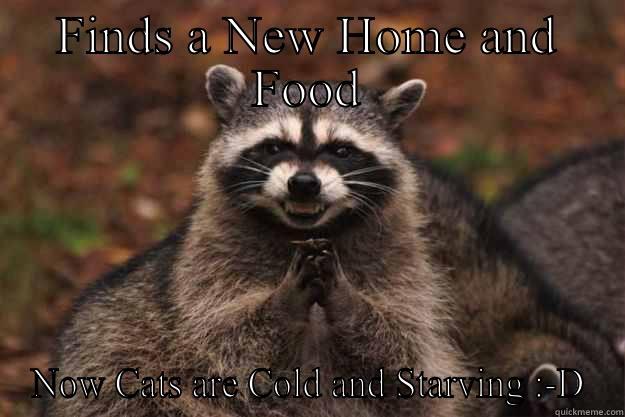 FINDS A NEW HOME AND FOOD NOW CATS ARE COLD AND STARVING :-D Evil Plotting Raccoon