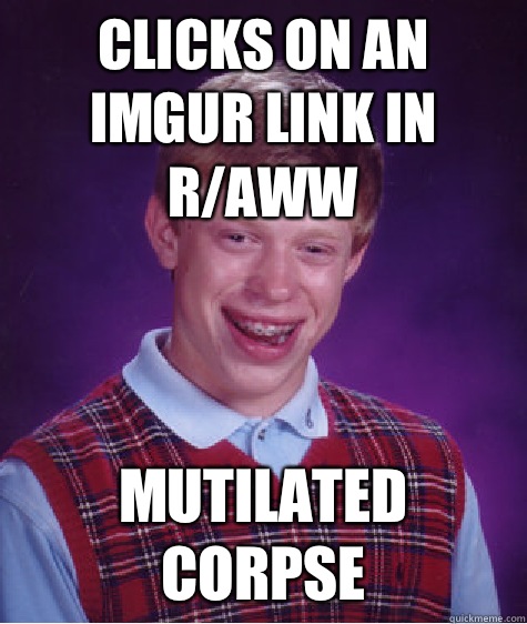 Clicks on an imgur link in r/aww Mutilated corpse  Bad Luck Brian