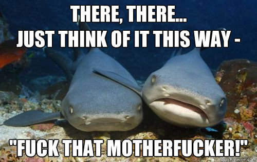There, there...
Just think of it this way - 