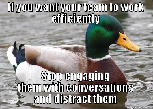 IF YOU WANT YOUR TEAM TO WORK EFFICIENTLY STOP ENGAGING THEM WITH CONVERSATIONS AND DISTRACT THEM Actual Advice Mallard
