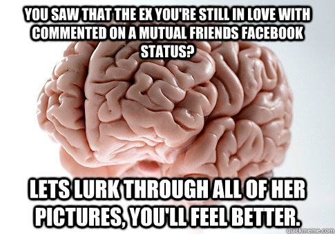 You saw that the ex you're still in love with commented on a mutual friends facebook status? lets lurk through all of her pictures, you'll feel better.  Scumbag Brain