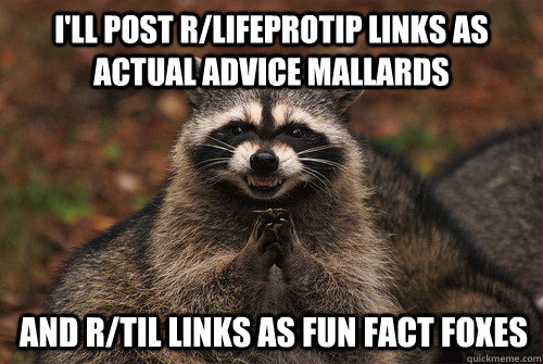 I'll post r/lifeprotip links as actual advice mallards  and r/til links as fun fact foxes  Insidious Racoon 2