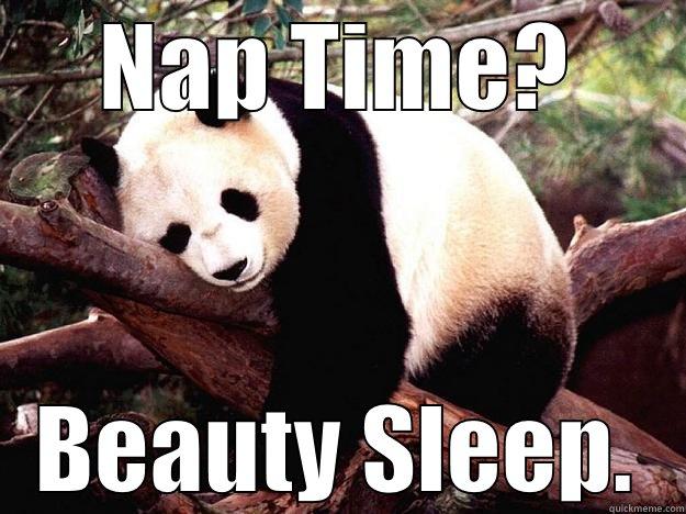 NAP TIME? BEAUTY SLEEP. Procrastination Panda