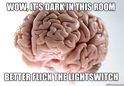 Wow, it's dark in this room Better Flick the lightswitch  Scumbag Brain