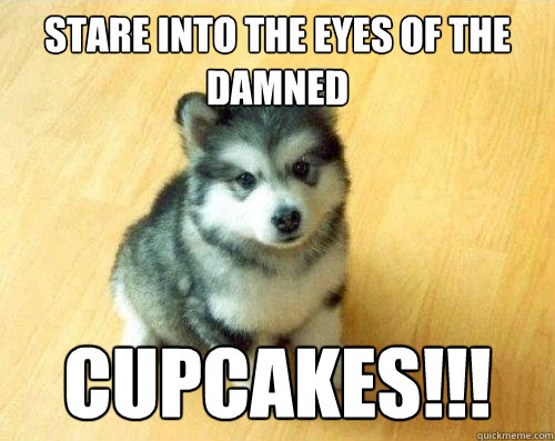 stare into the eyes of the damned cupcakes!!!  Baby Courage Wolf