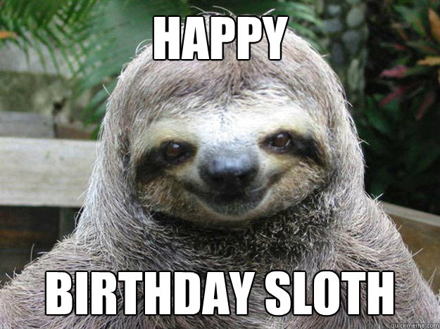 HAPPY BIRTHDAY SLOTH  happy birthday sloth