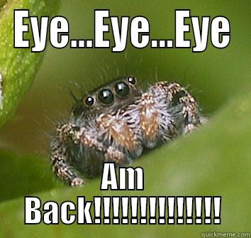 EYE...EYE...EYE AM BACK!!!!!!!!!!!!!! Misunderstood Spider