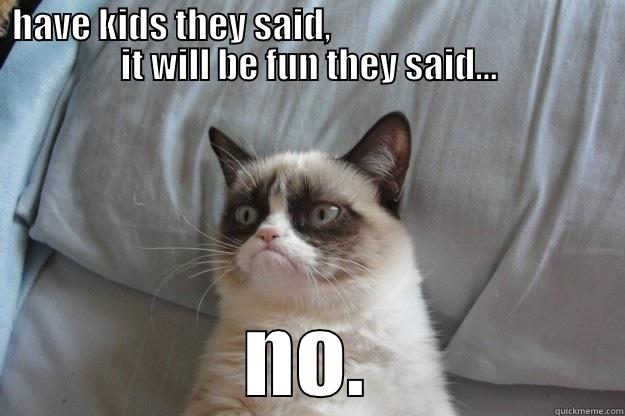 HAVE KIDS THEY SAID,                                        IT WILL BE FUN THEY SAID... NO. Grumpy Cat
