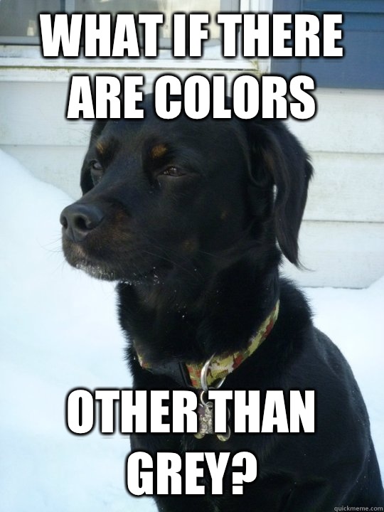 What if there are colors Other than grey?  Philosophical Puppy
