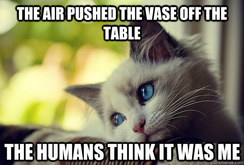 The air pushed the vase off the table the humans think it was me  First World Cat Problems