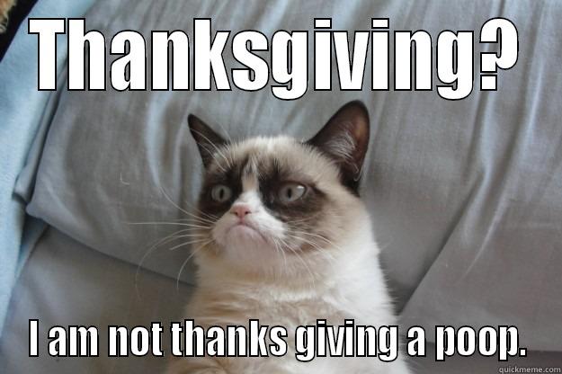 THANKSGIVING? I AM NOT THANKS GIVING A POOP. Grumpy Cat