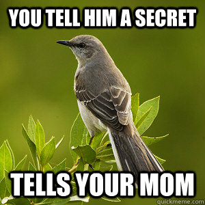 You tell him a secret Tells your mom - You tell him a secret Tells your mom  a little bird