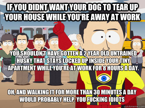 If you didnt want your dog to tear up your house while you're away at work you shouldn't have gotten a 2 year old untrained husky that stays locked up inside your tiny apartment while you're at work for 8 hours a day. Oh, and walking it for more than 30 m  Captain Hindsight