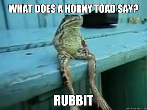 What does a horny toad say? Rubbit - What does a horny toad say? Rubbit  SITTING FROG