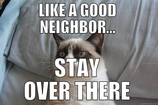 New State Farm jingle - LIKE A GOOD NEIGHBOR... STAY OVER THERE Grumpy Cat