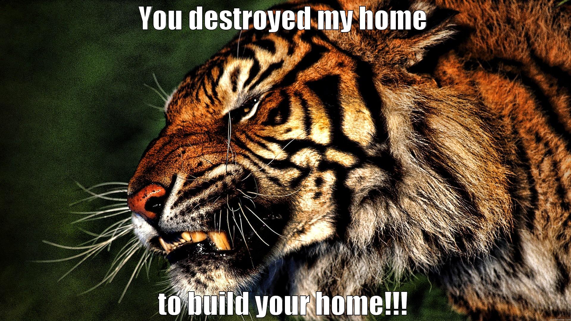 YOU DESTROYED MY HOME TO BUILD YOUR HOME!!! Misc