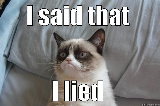 I lied - I SAID THAT I LIED Grumpy Cat