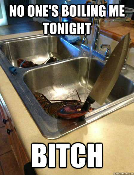 No one's boiling me tonight Bitch - No one's boiling me tonight Bitch  You caught the wrong one