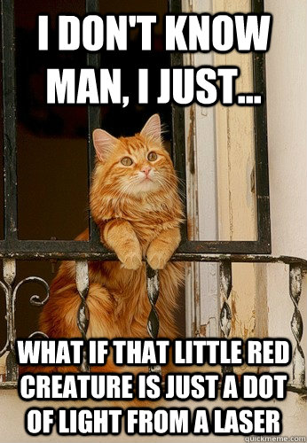 I don't know man, I just... What if that little red creature is just a dot of light from a laser  Introspective Cat