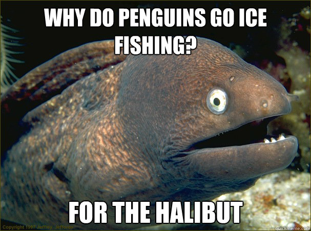 Why do penguins go ice fishing? For the Halibut  Bad Joke Eel