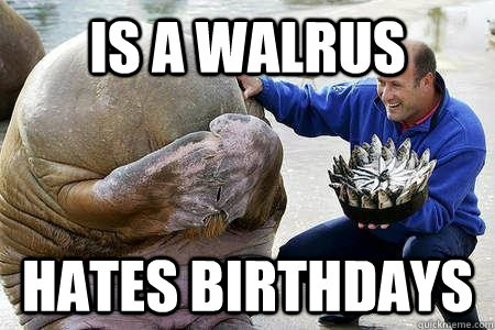 Is A Walrus Hates Birthdays - Is A Walrus Hates Birthdays  Fish Cake