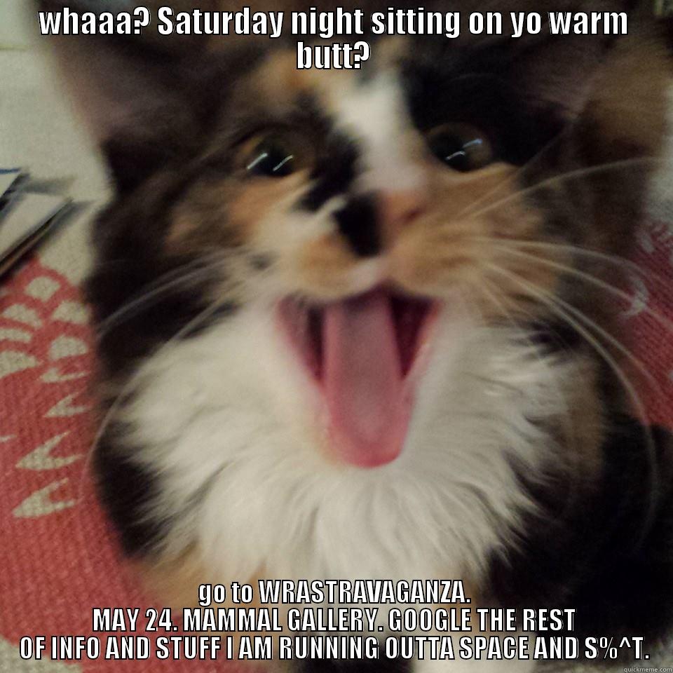 WHAAA? SATURDAY NIGHT SITTING ON YO WARM BUTT? GO TO WRASTRAVAGANZA. MAY 24. MAMMAL GALLERY. GOOGLE THE REST OF INFO AND STUFF I AM RUNNING OUTTA SPACE AND S%^T. Misc