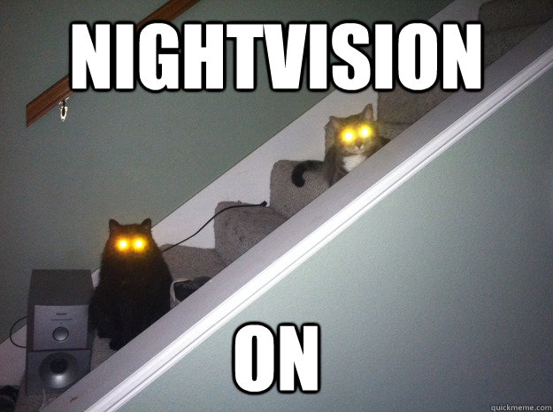 NIGHTVISION ON - NIGHTVISION ON  demoncats