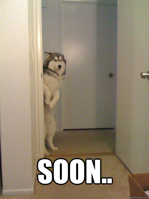 SOON..  - SOON..   Soon Dog