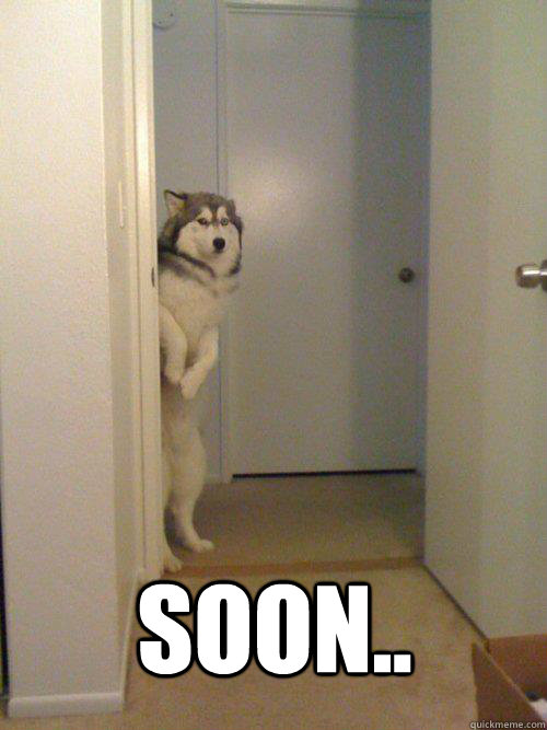 SOON..   Soon Dog