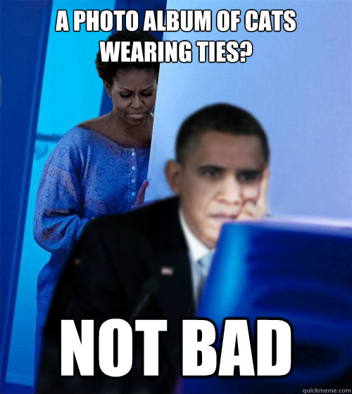 A photo album of cats wearing ties? NOT BAD  Redditor Obamas Wife