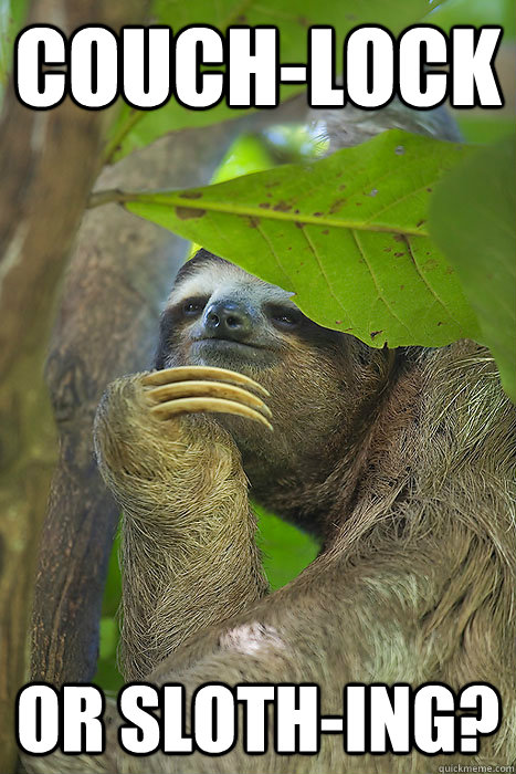 couch-lock or sloth-ing?  Philososloth